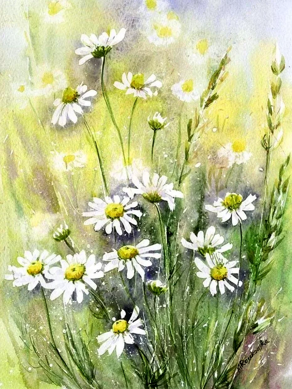 Цветочная живопись Maria Roszkowska