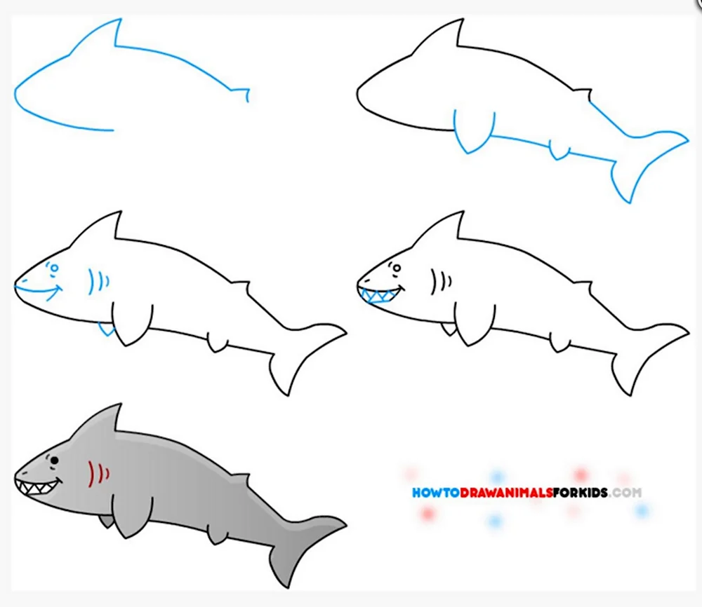 Учимся рисовать акулу для детей