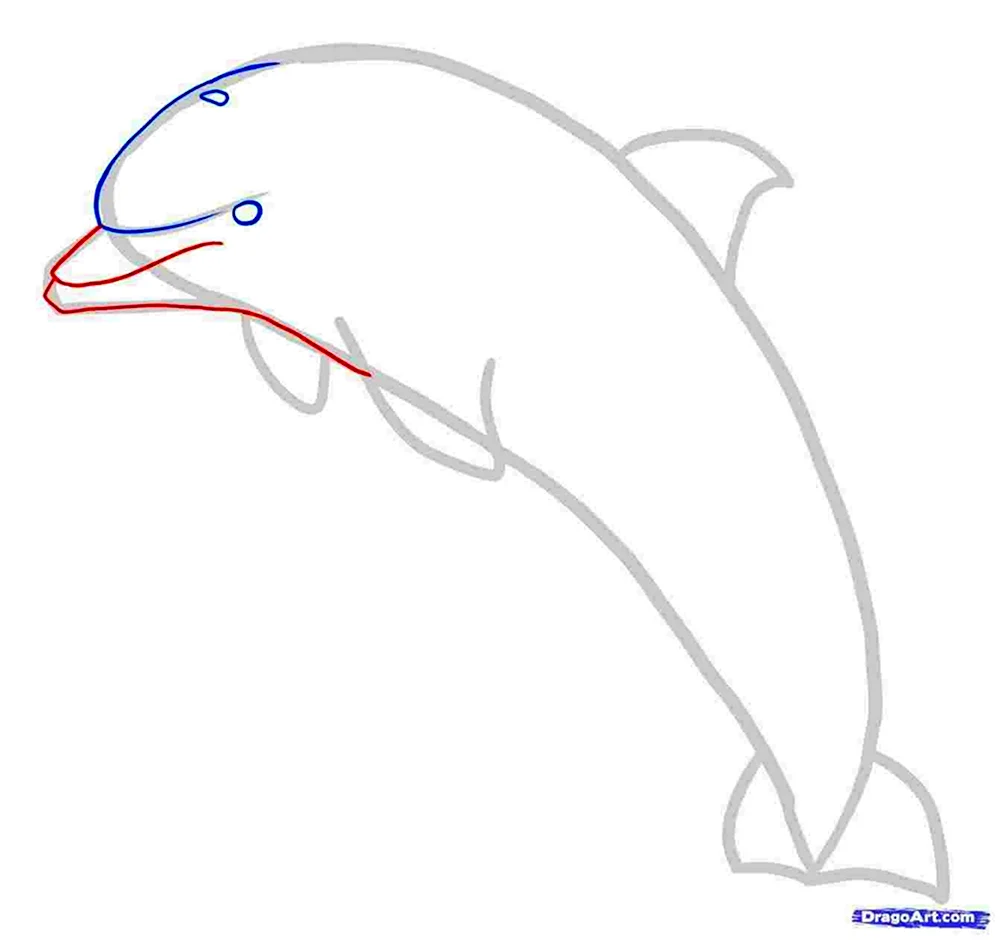 Учится рисовать дельфинчика