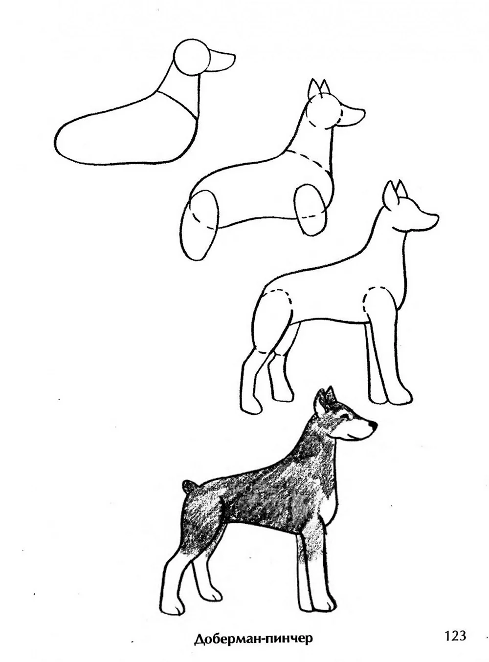 Урок рисования собаки