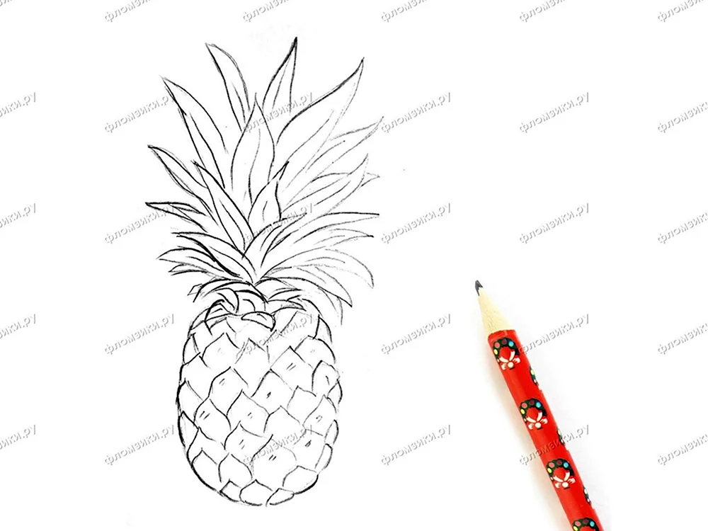 Уроки рисования ананаса пошагово