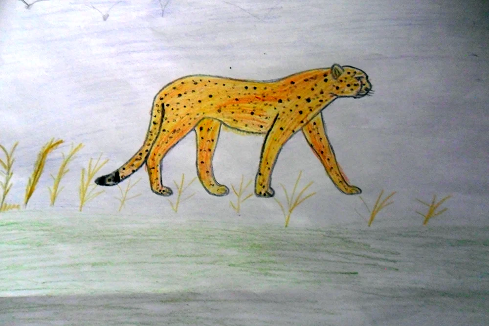 Уроки рисования гепарда