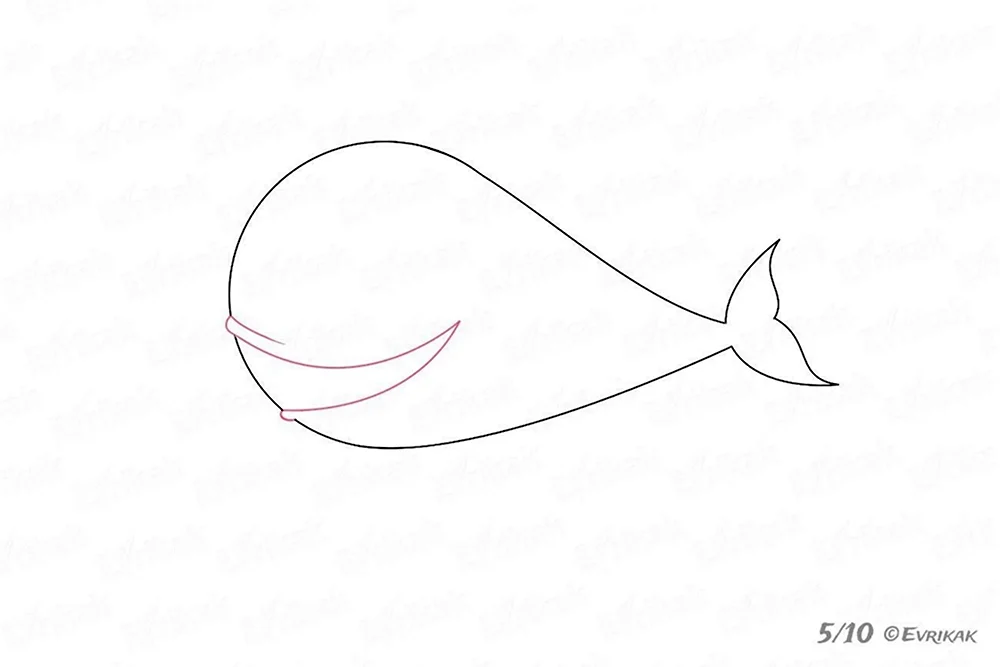 Уроки рисования кита
