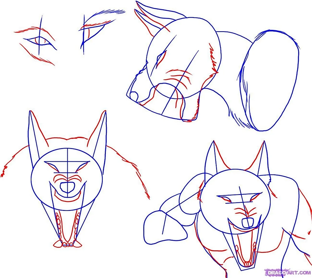 Уроки рисования волка