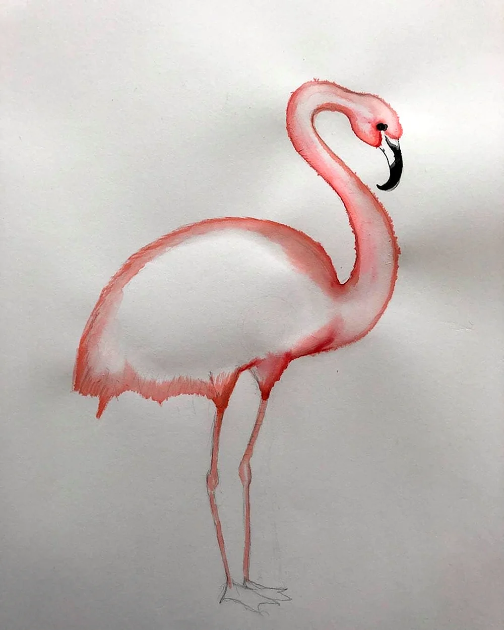 Видеоуроки рисования Фламинго