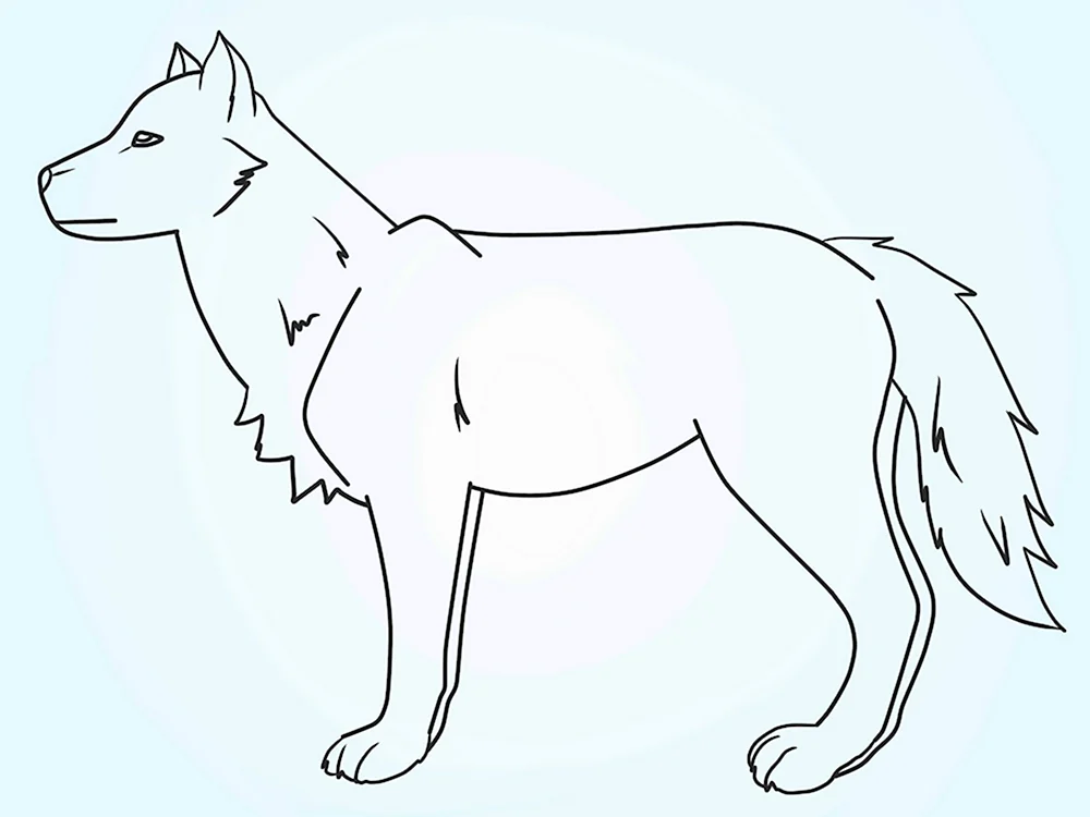Волк рисунок карандашом для детей