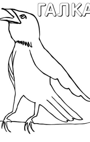 Ворона раскраска