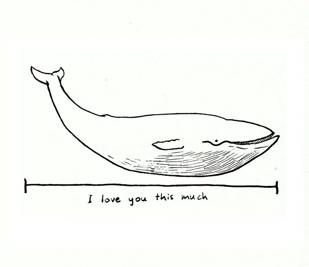 Вот настолько я тебя люблю кит