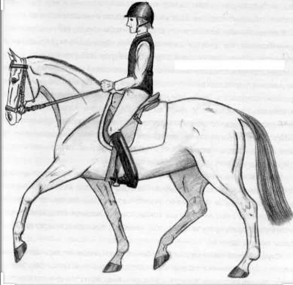Всадник на коне поэтапное рисование