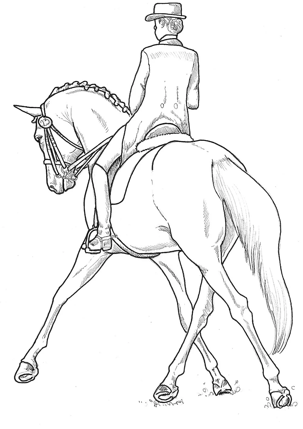 Всадник на лошади рисунок карандашом