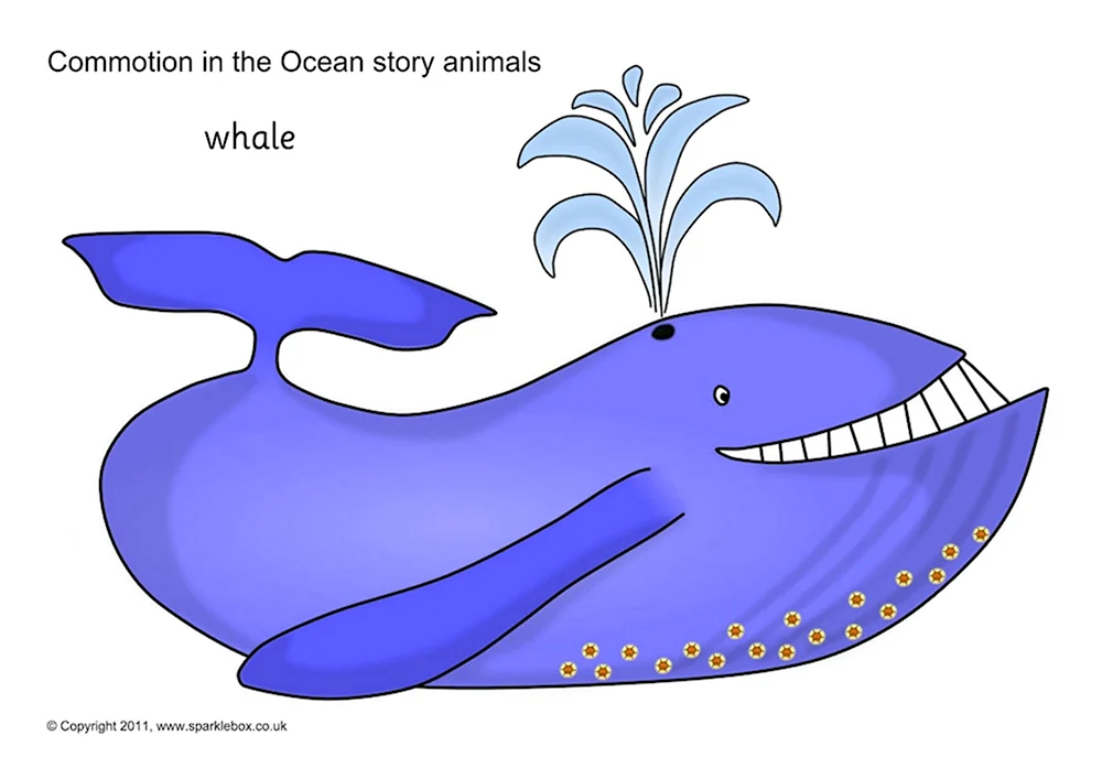 Whale карточка для детей