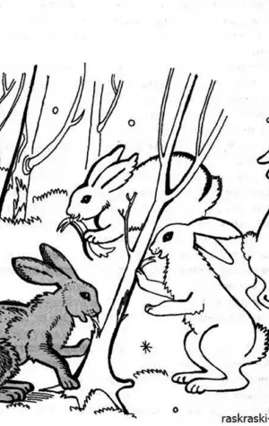 Заяц в лесу раскраска