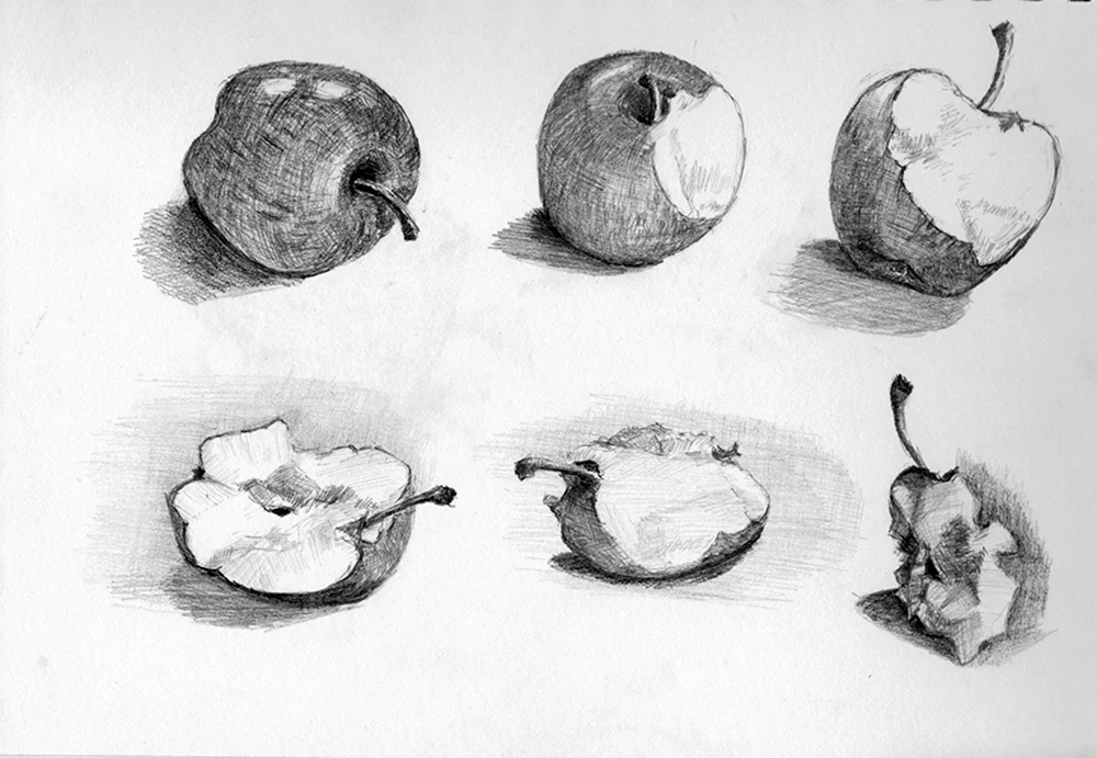 Зарисовка яблока