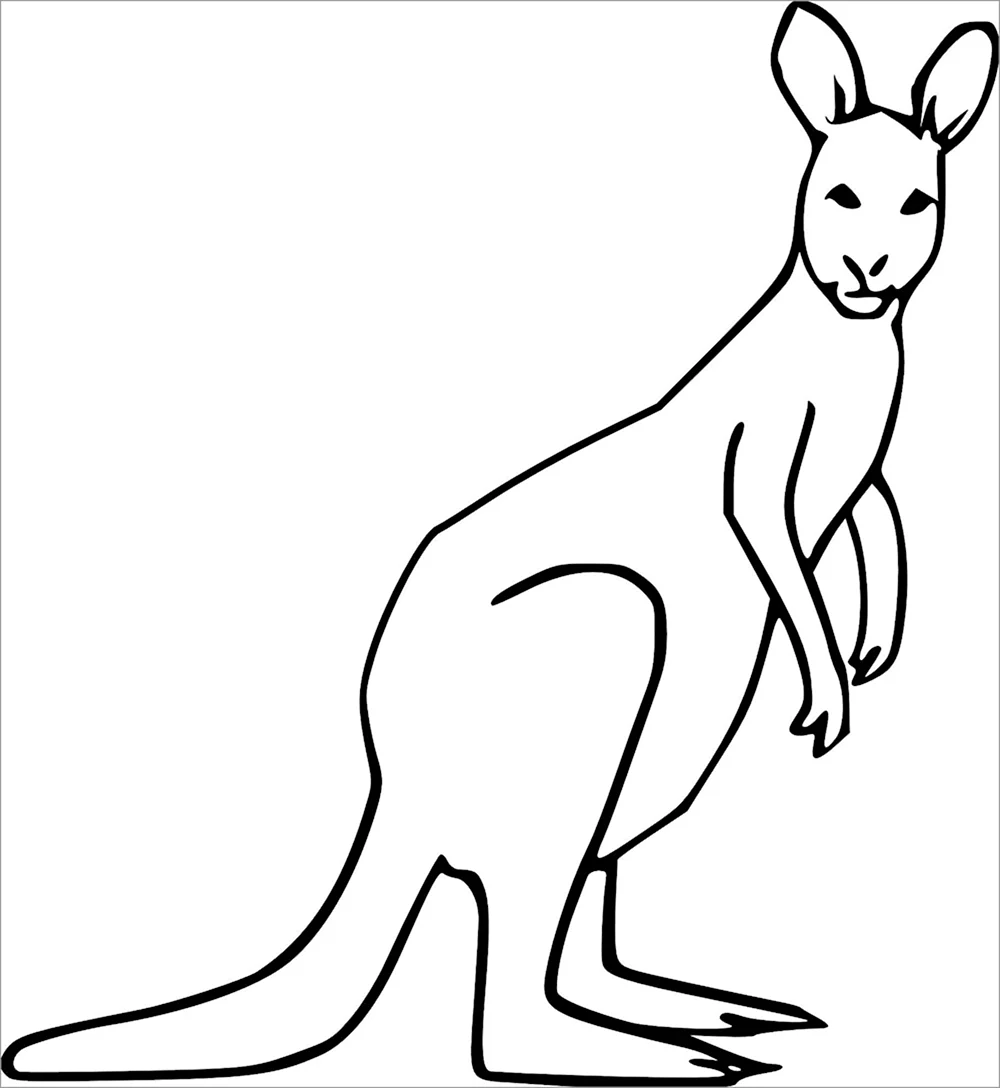 Зарисовка кенгуру