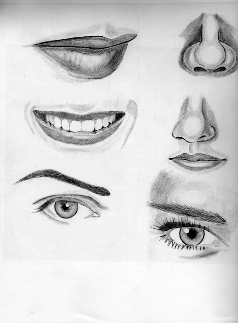 Зарисовки частей лица