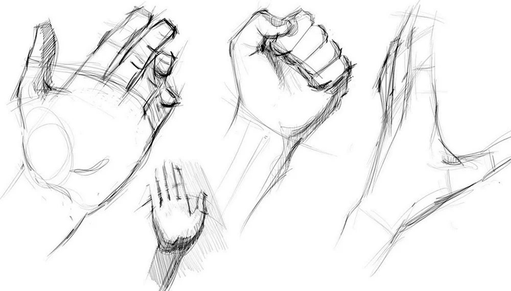 Зарисовки кистей рук