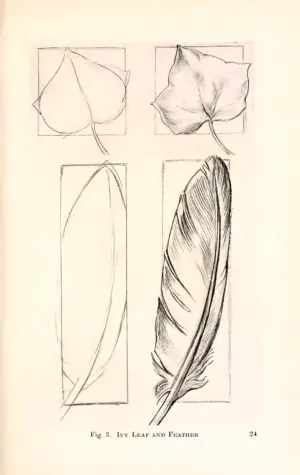 Зарисовки листьев и перьев