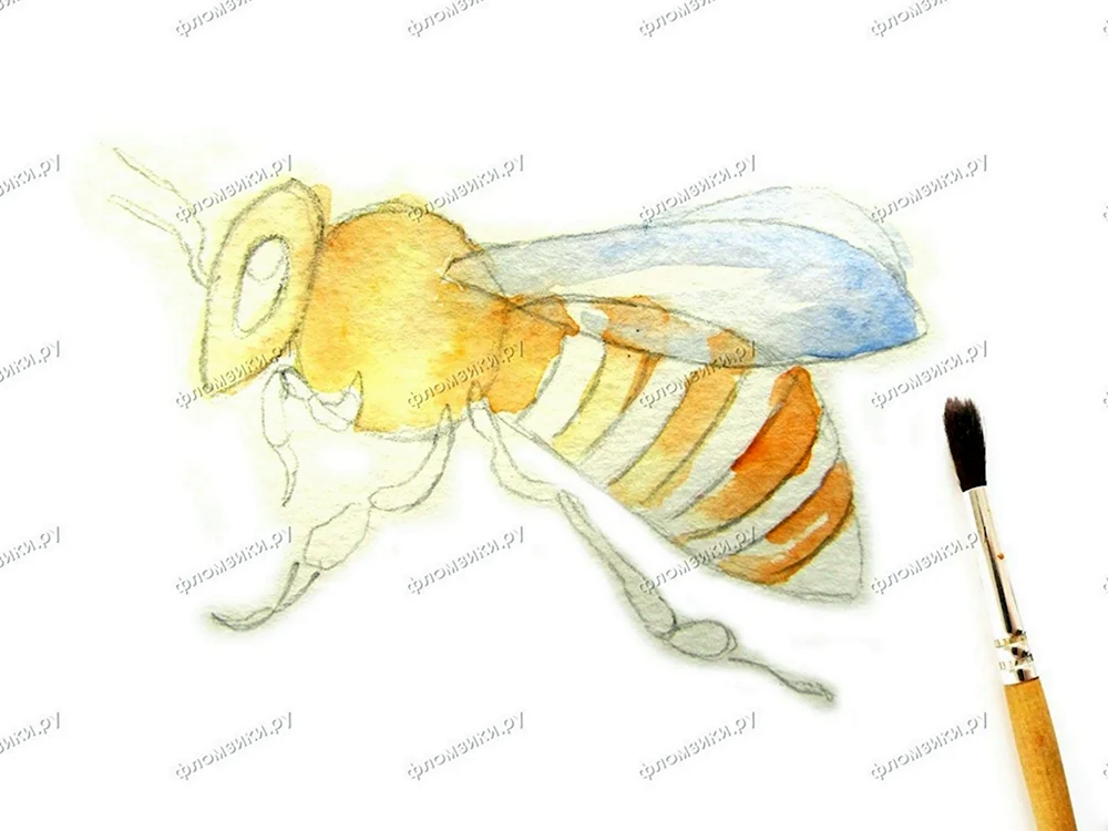 Здоровье на крыльях пчелы рисунки