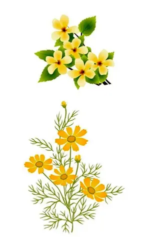 Желтые цветы вектор