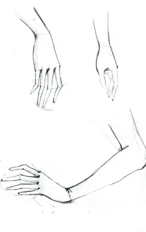 Женские руки карандашом