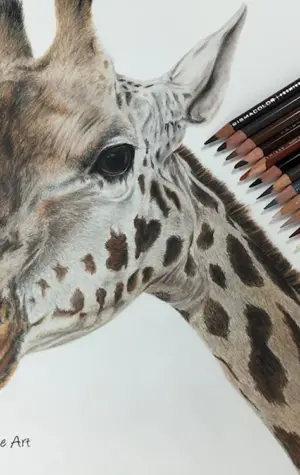 Жираф цветными карандашами