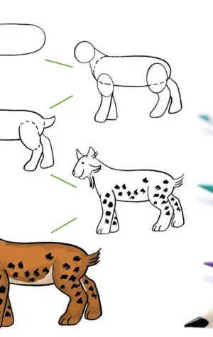 Животные для рисования