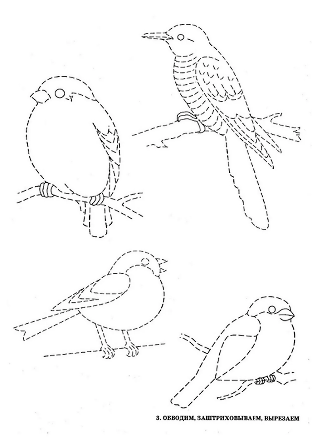 Зимующие птицы штриховки для детей