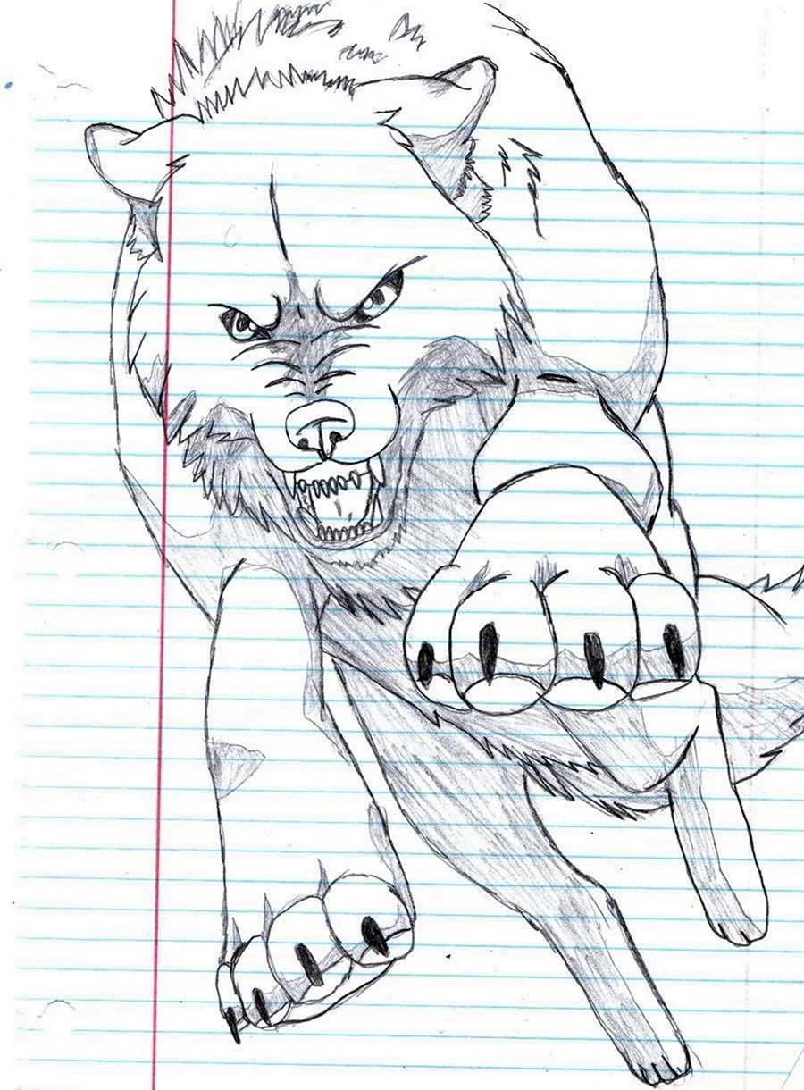 Злой волк рисунок карандашом поэтапно