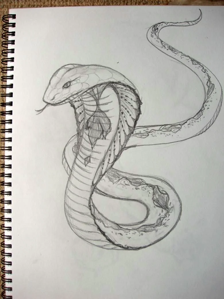 Змеи карандашом