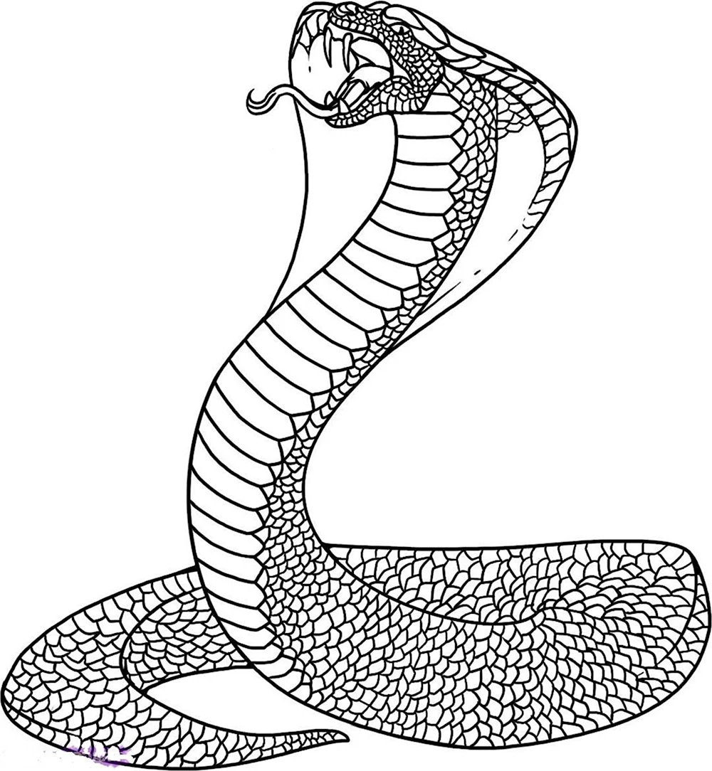Змея раскраска