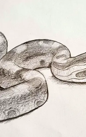 Змея рисунок