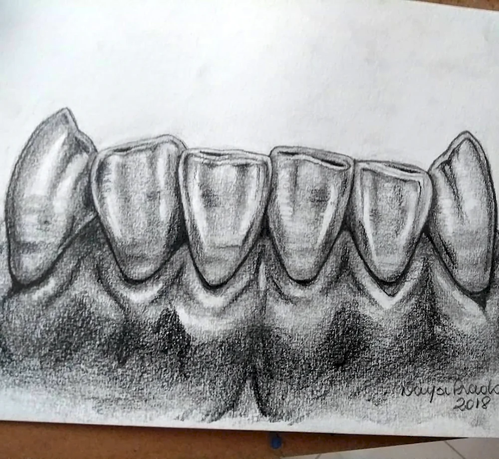 Зубы эскиз