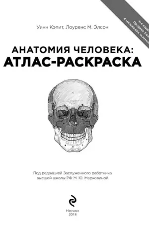 Анатомия человека атлас-раскраска Элсон