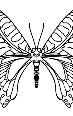 Бабочка Махаон для раскрашивания