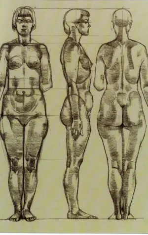 Готфрид Баммес анатомия пропорции