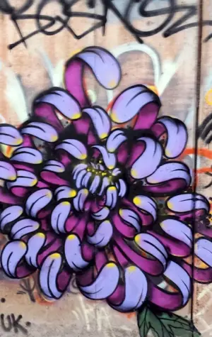 Граффити цветы на стене