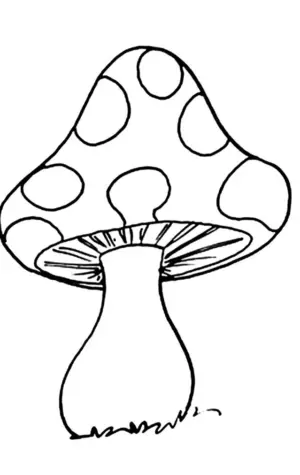 Инди КИД грибы