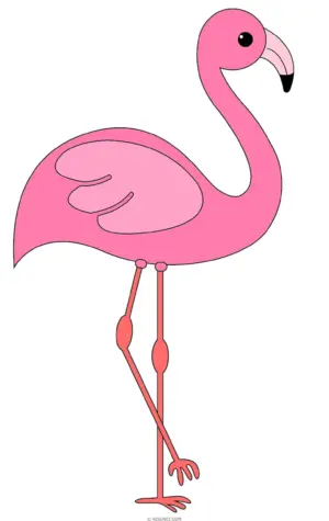 Какинарисовать Фламинго