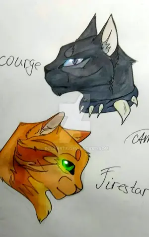 Коты Воители Бич и Огнезвёзд