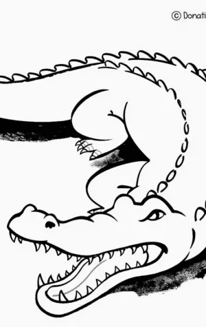 Крокодил рисунок карандашом