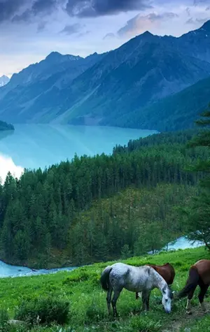 Кучерлинское озеро Алтай