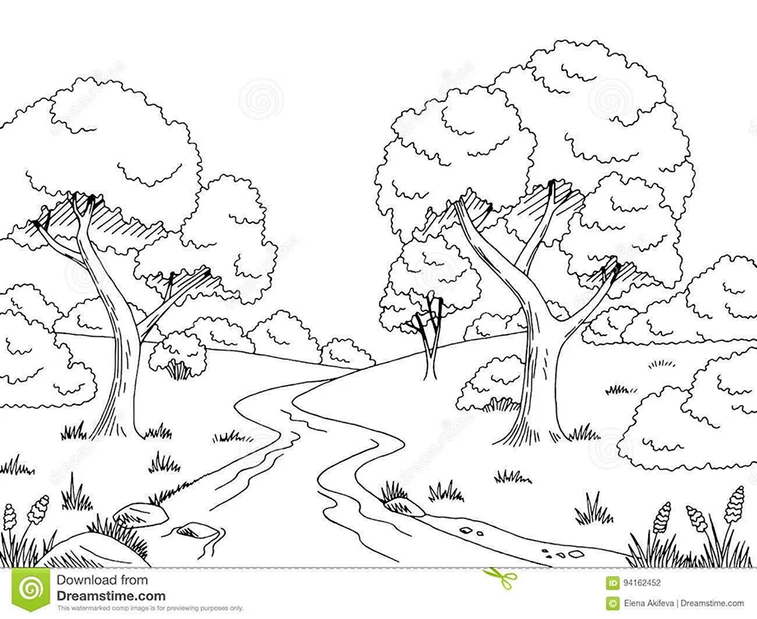 Лес картинка для детей раскраска
