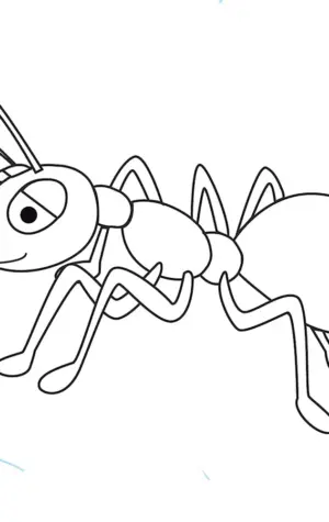 Насекомые муравей раскраска для детей 6-7 лет