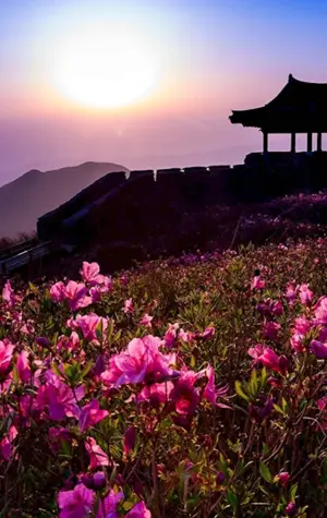 Остров Чеджу Корея Эстетика