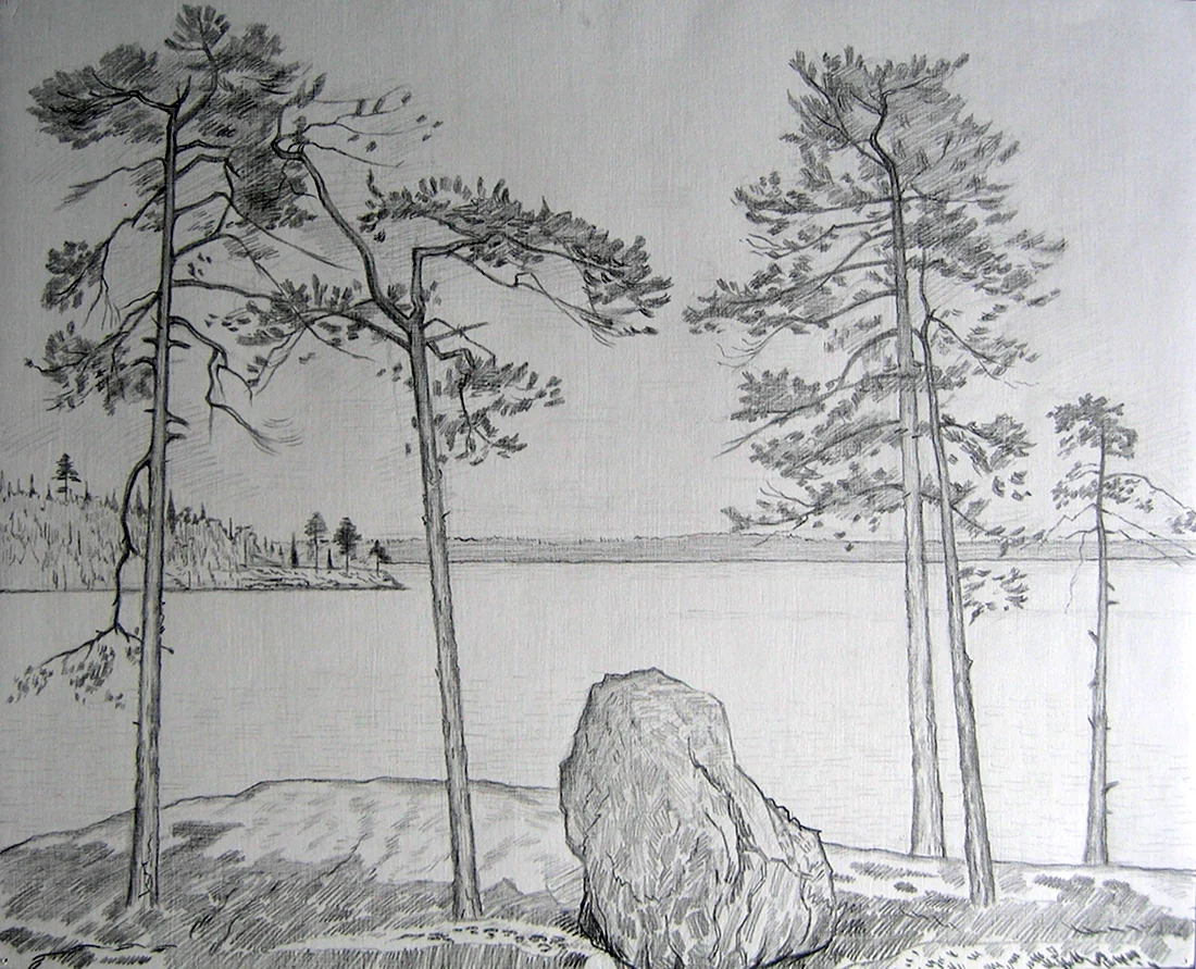 Пейзаж леса рисунок карандашом