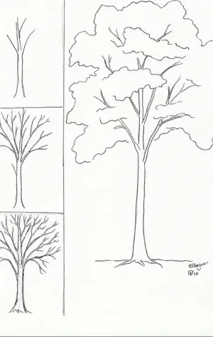 Поэтапное рисование дерева