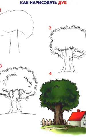 Поэтапное рисование дерева