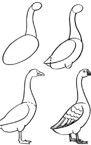 Поэтапное рисование гуся