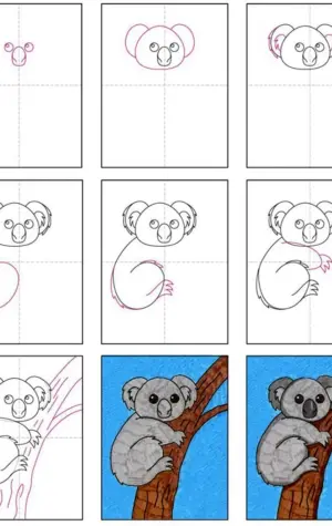Поэтапное рисование коалы для детей