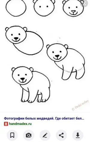 Поэтапное рисование медведя